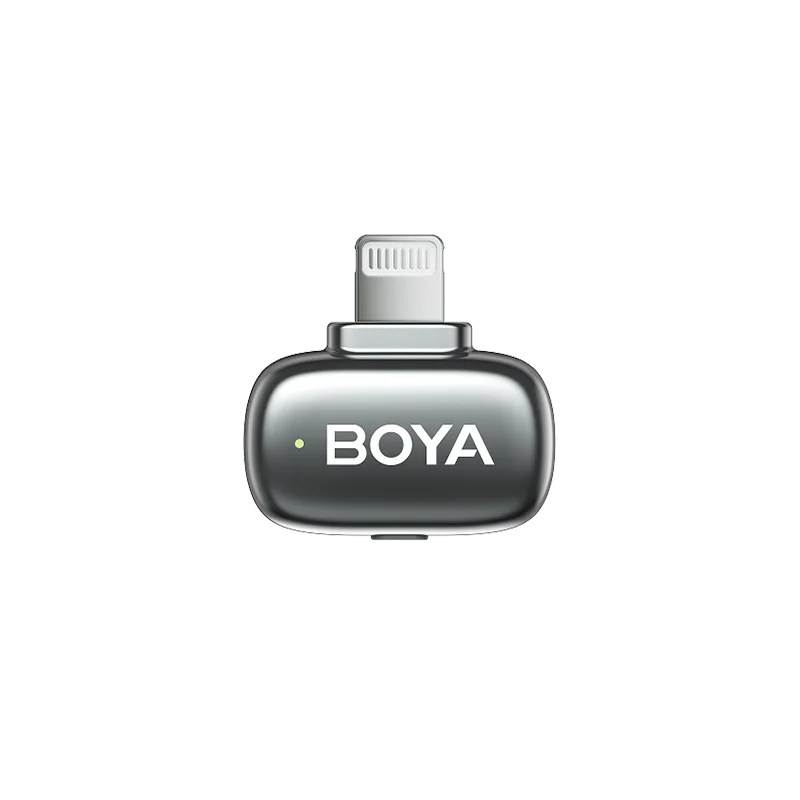 Receptor (Lightning)